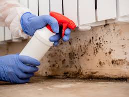 Environmental Consulting for Mold Prevention in Kent, OH